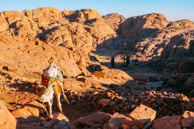 Day tour to Mount Sinai Sunrise Express