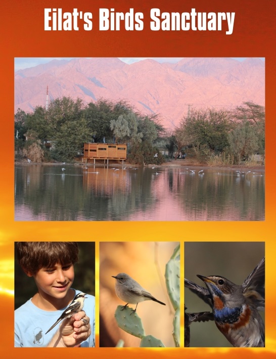 Timna Park Safari Shuttle for groups