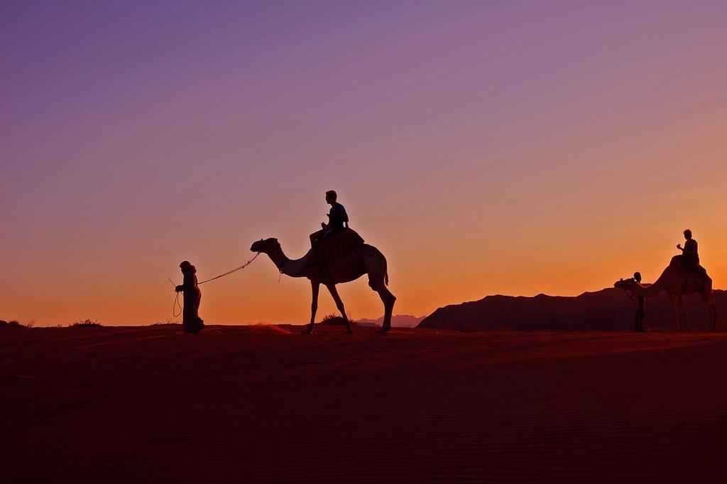 Sinai- Egypt