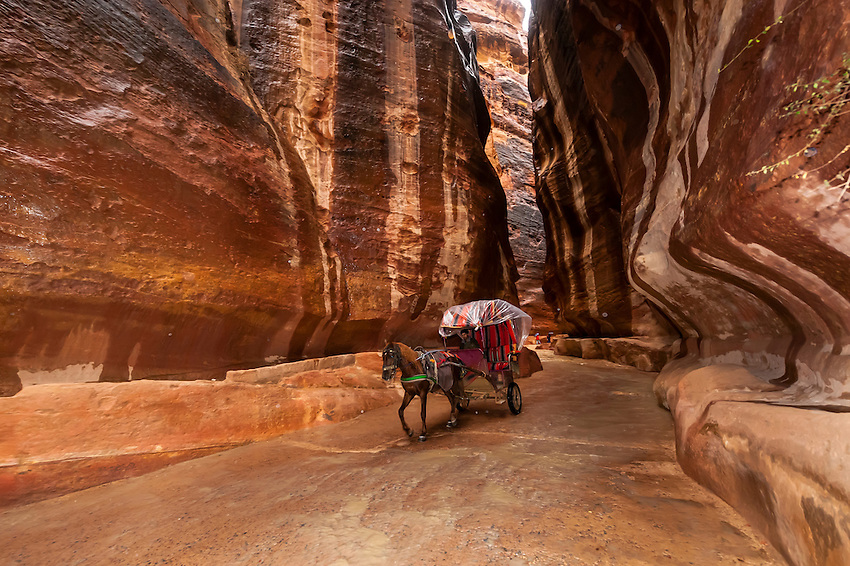 carriage in petra