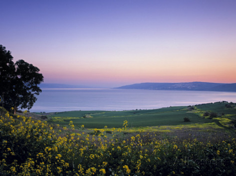 Sea of Galilee